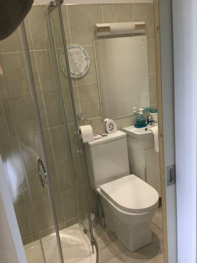 Chambre Double (1 Lit - Petites Toilettes, Douche, Lavabo dans la Chambre)